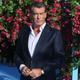 Illustration for article titled Pierce Brosnan thinks a female Bond would be "exhilarating," so make it so, you cowards